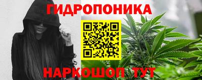 сатива Будённовск