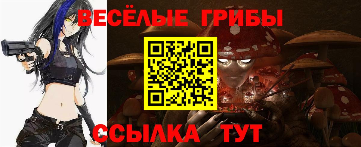 Галлюциногенные грибы Cubensis Геленджик