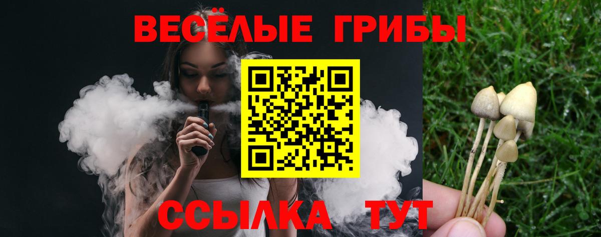 LSD-25 Геленджик